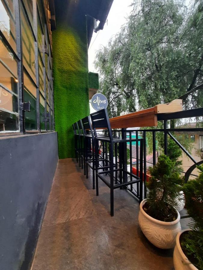 泰吉橄榄酒店和度假村 大吉岭 外观 照片
