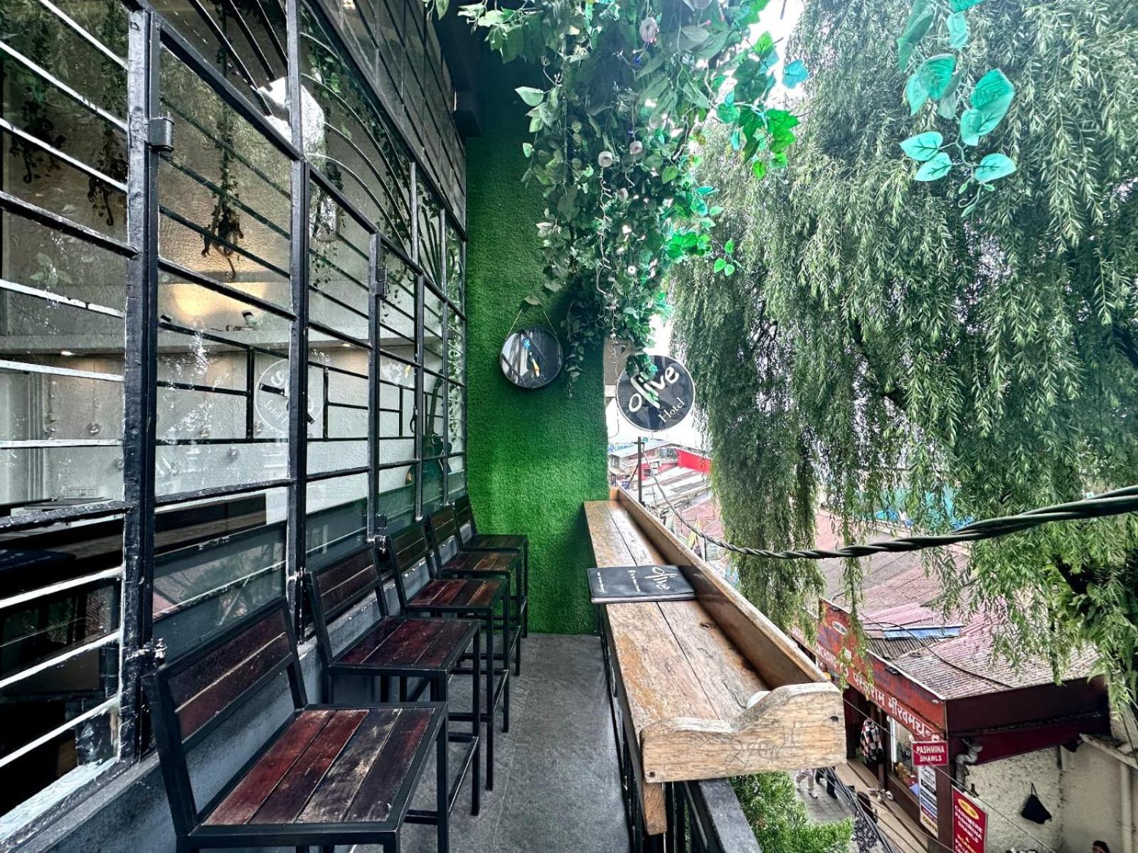 泰吉橄榄酒店和度假村 大吉岭 外观 照片