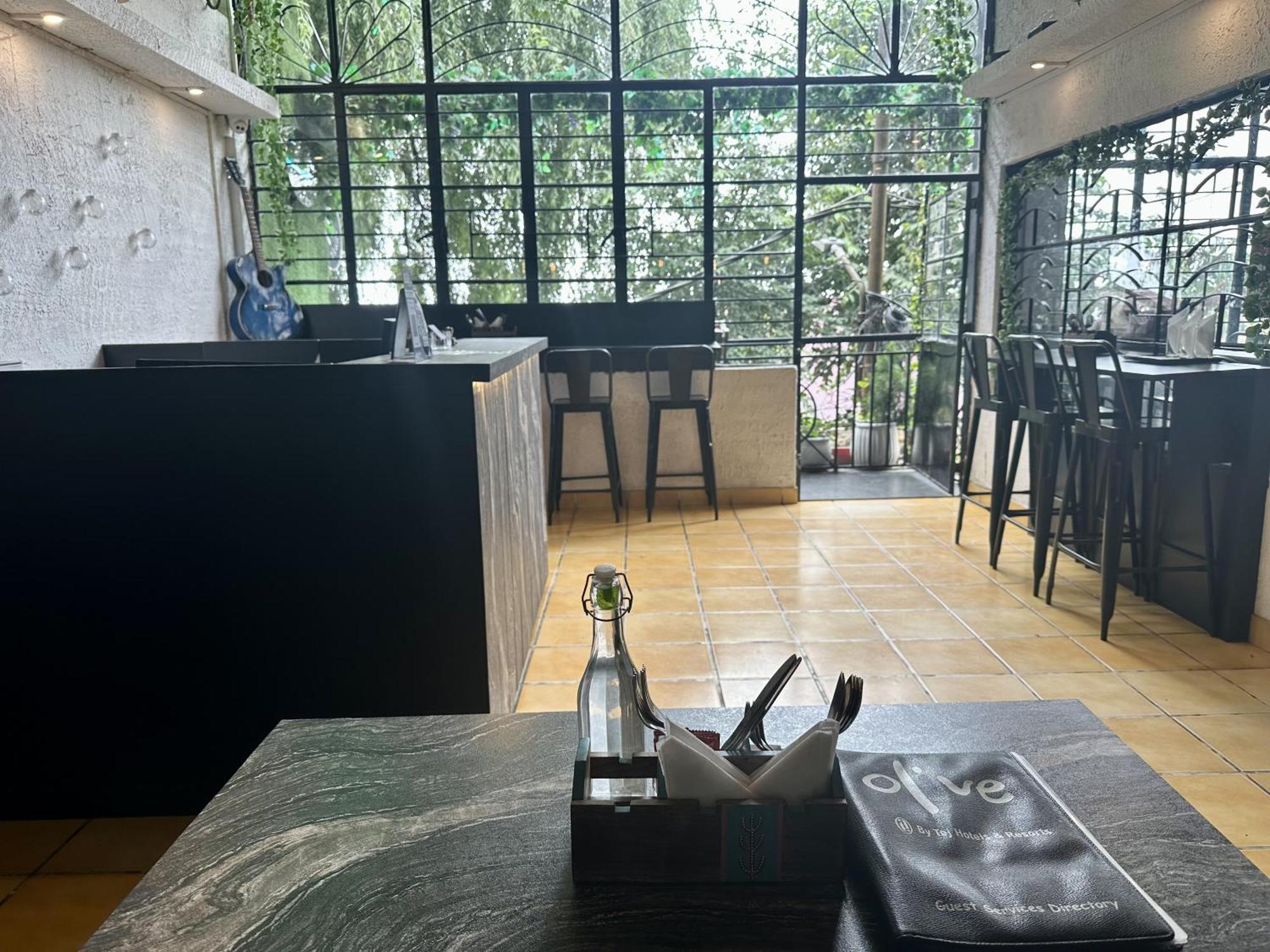 泰吉橄榄酒店和度假村 大吉岭 外观 照片